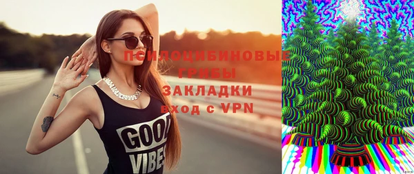 тгк Аркадак