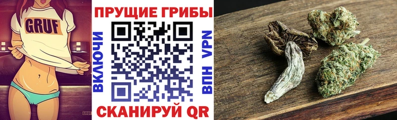 Псилоцибиновые грибы MAGIC MUSHROOMS  Рассказово 